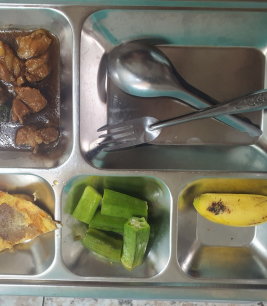 khay cơm mẫu số 1 - sacn bình dương