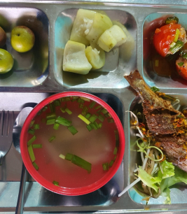 khay cơm mẫu số 2 - sacn bình dương