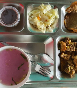 khay cơm mẫu số 3 - sacn bình dương