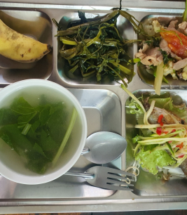 khay cơm mẫu số 4 - sacn bình dương