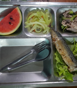 khay cơm mẫu số 5 - sacn bình dương