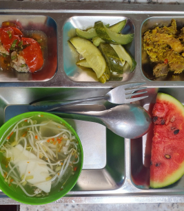 khay cơm mẫu số 10 - sacn bình dương