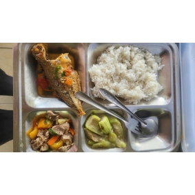 khay cơm mẫu số 3 - sacn bình dương