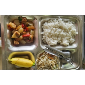 khay cơm mẫu số 10 - sacn bình dương