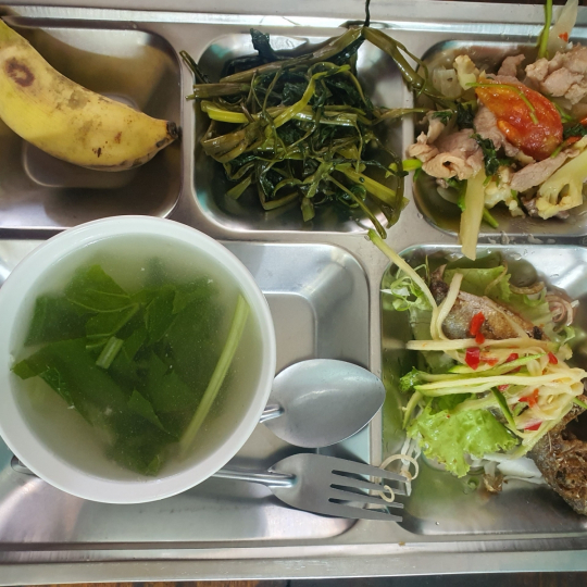 khay cơm mẫu số 4 - sacn bình dương