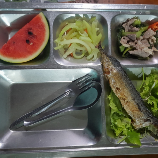 khay cơm mẫu số 5 - sacn bình dương