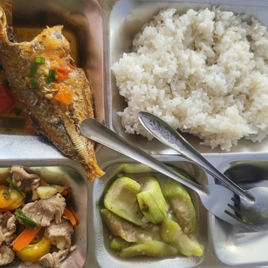 khay cơm mẫu số 3 - sacn bình dương